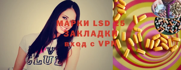 шишки Алзамай