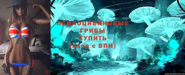 гидропоника Алексеевка