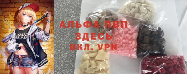 шишки Алзамай