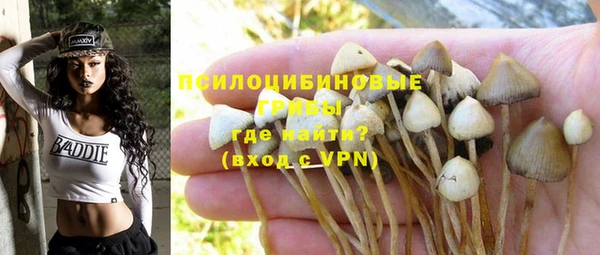 гидропоника Алексеевка