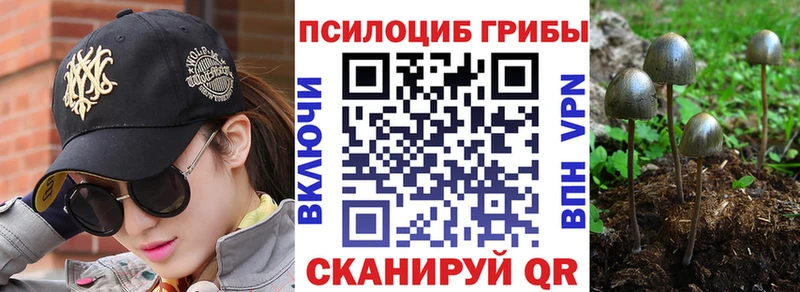 закладки  Канск  Псилоцибиновые грибы Magic Shrooms 