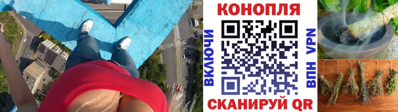 Бошки марихуана ГИДРОПОН  Канск 